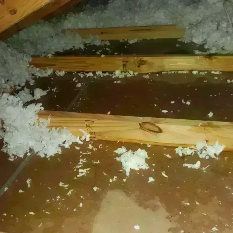 Attic Water Damage in Glenmora, LA